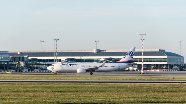 Quels sont les meilleurs spots pour la plongée en apnée avec les requins-marteaux aux Galápagos?